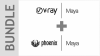 V-RAY COMBO