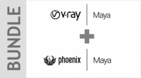 V-RAY COMBO